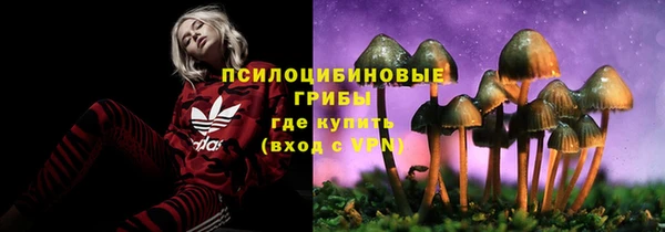 стафф Алексеевка