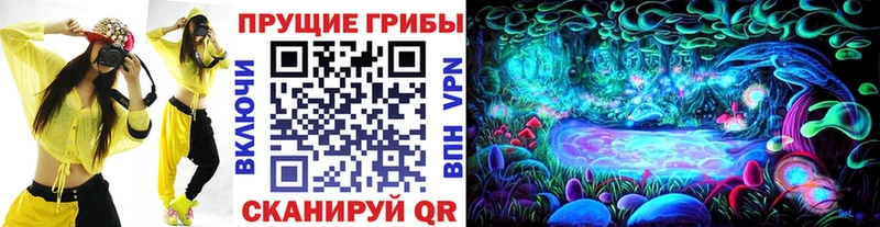 закладки Зеленодольск кракен как войти Псилоцибиновые грибы Psilocybe